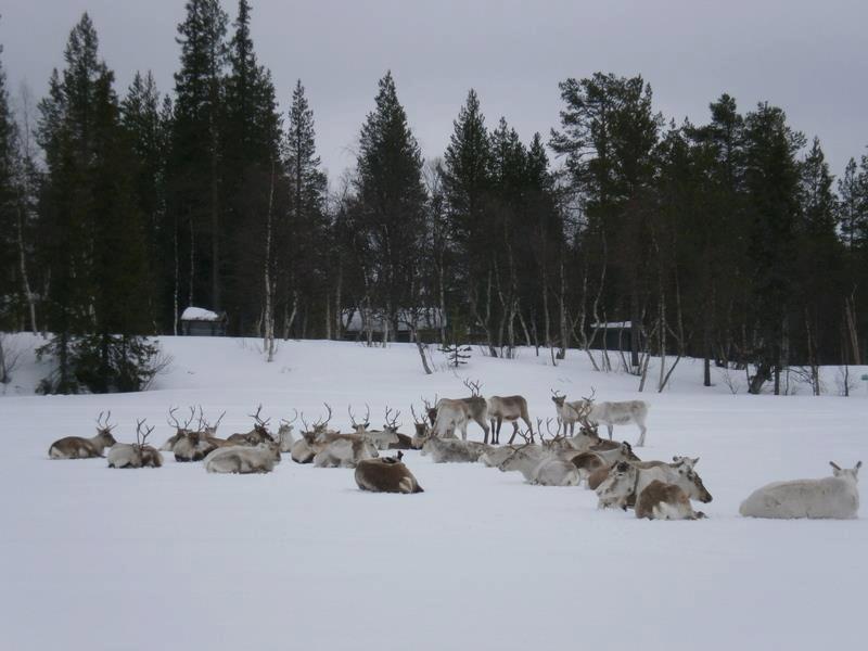 Готель Kyroen Loma Екстер'єр фото