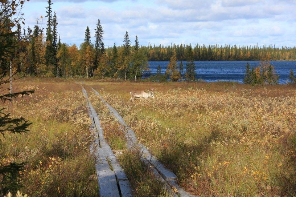 Готель Kyroen Loma Екстер'єр фото