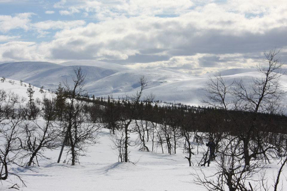 Готель Kyroen Loma Екстер'єр фото